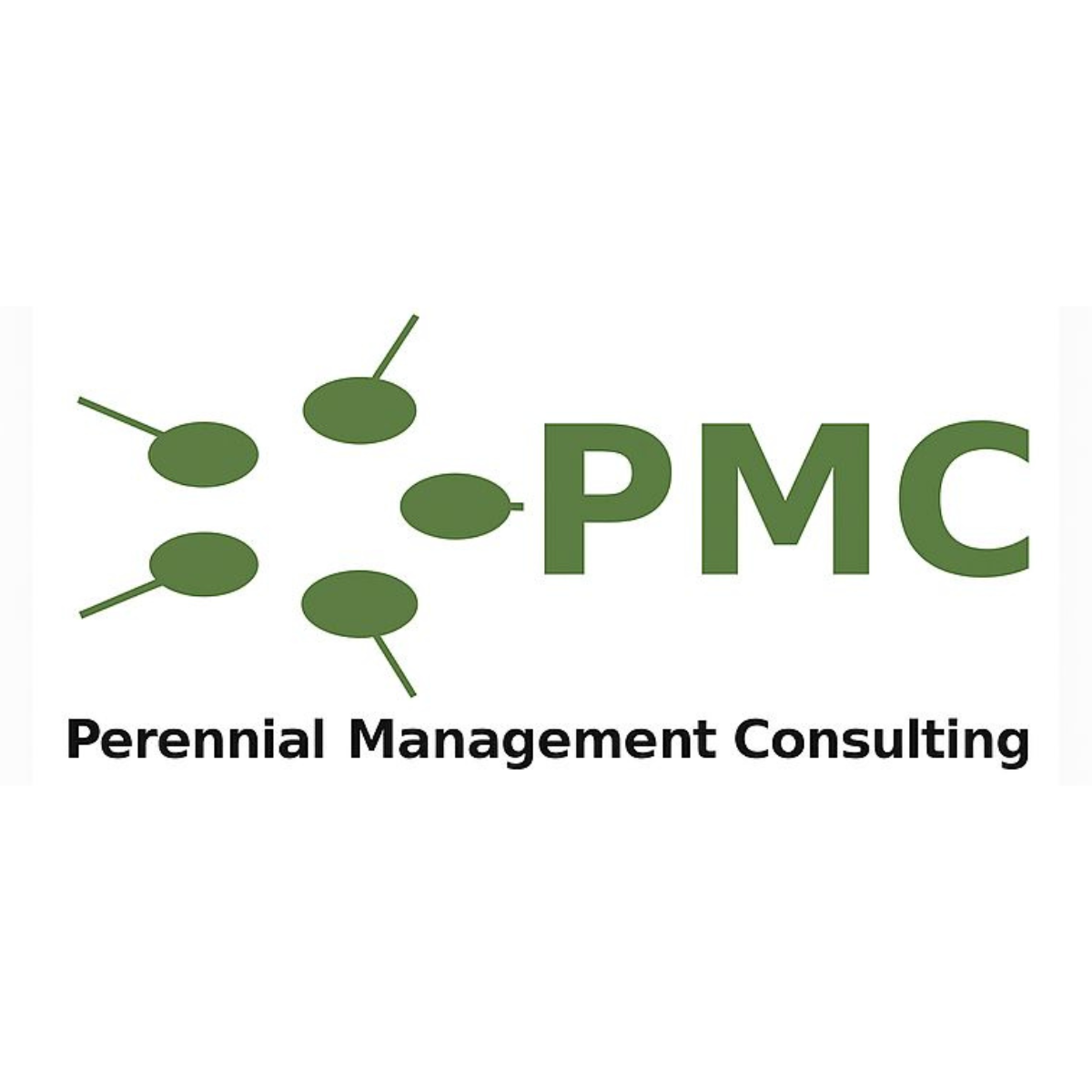 PMC Perennial Management Consulting